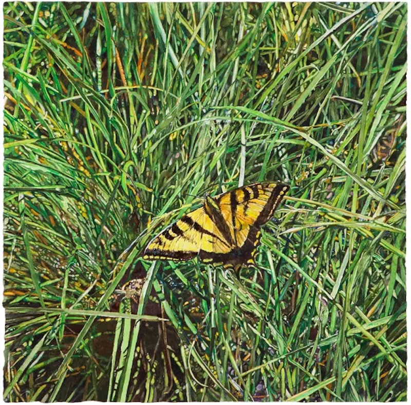 Blades of Grass and Butterfly Watercolor 2020