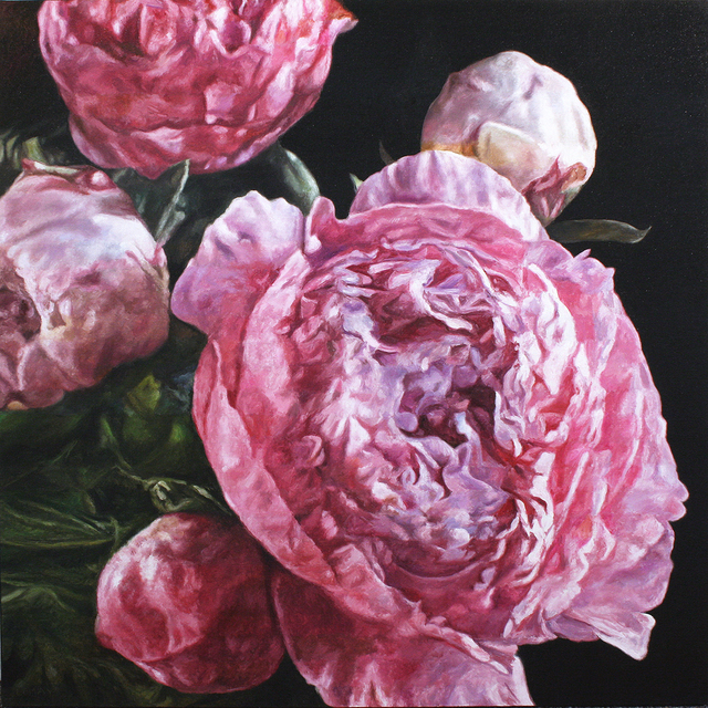 Pink Peonies III Oil on Canvas 36" x 36" 2020